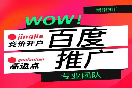行业领先企业的SEM服务托管策略案例